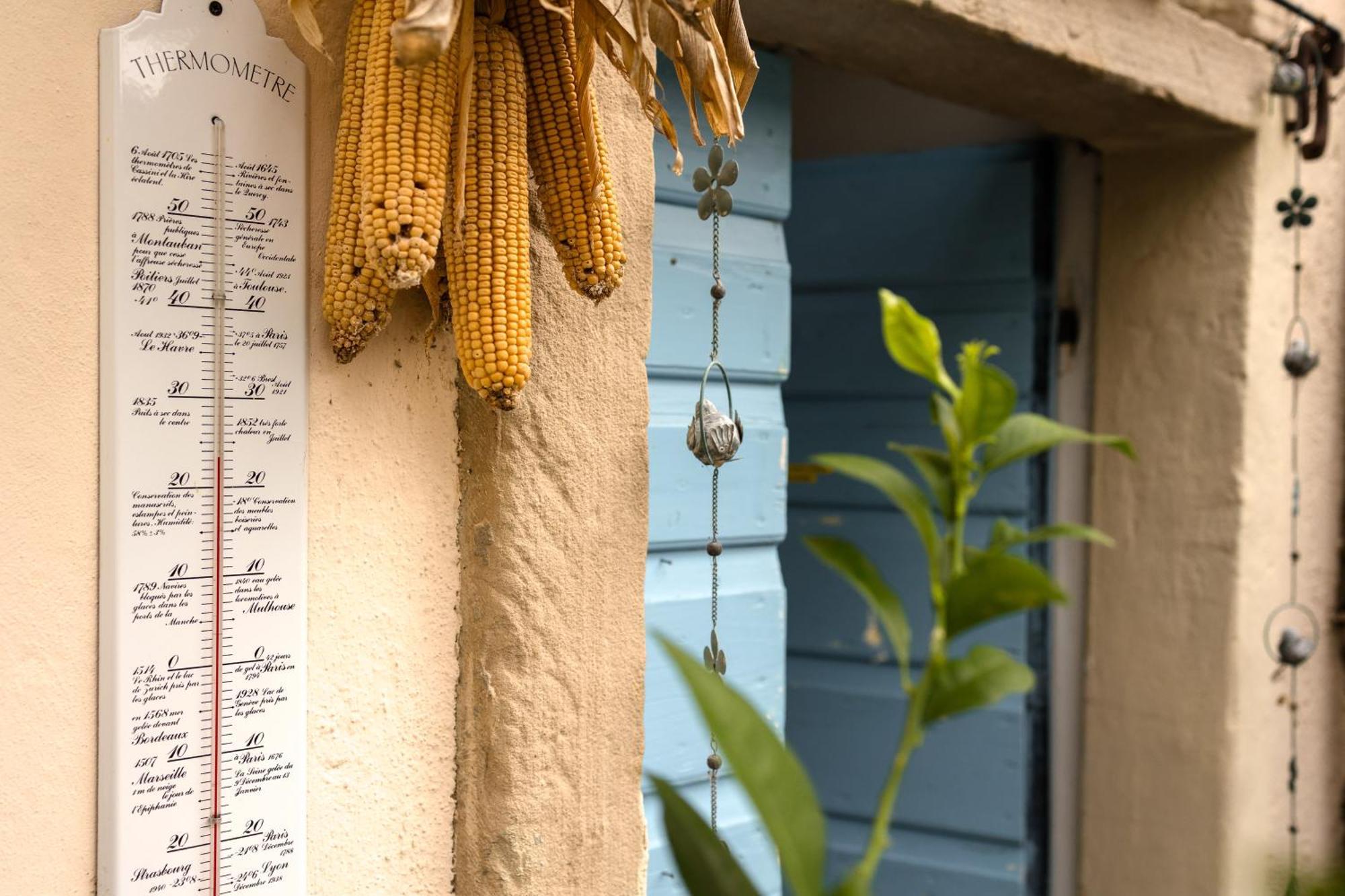 B&B Corte Del Mincio มอนซามบาโน ภายนอก รูปภาพ